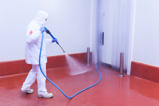 Best Paint Preparation  in Sterling City, TX