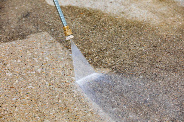 Best Animal Enclosure Cleaning  in Sterling City, TX